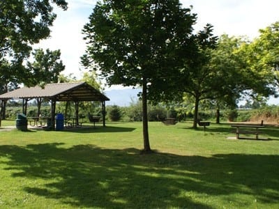Little Delair Park - Abbotsford City Parks