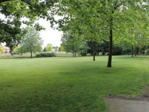 Major Parks - Abbotsford