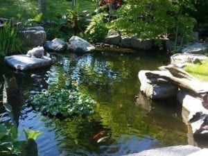 Woolbridge Ponds - Gardens